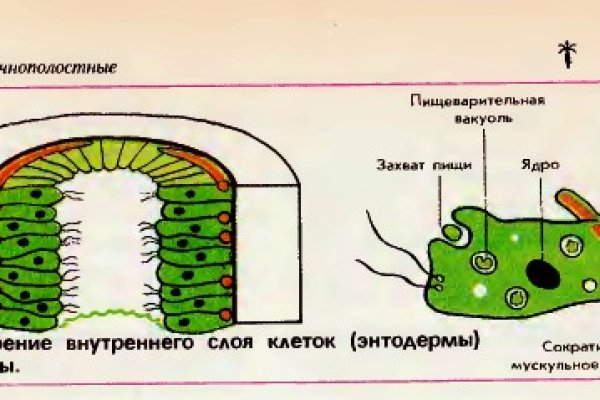 Kraken актуальный сайт