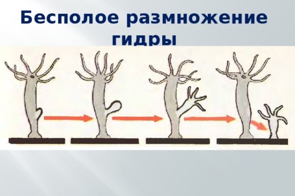 Кракен вход ссылка kraken torion net