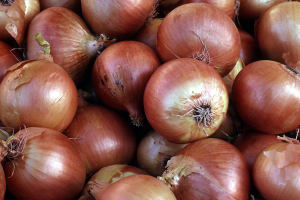 Kraken tor onion зеркало