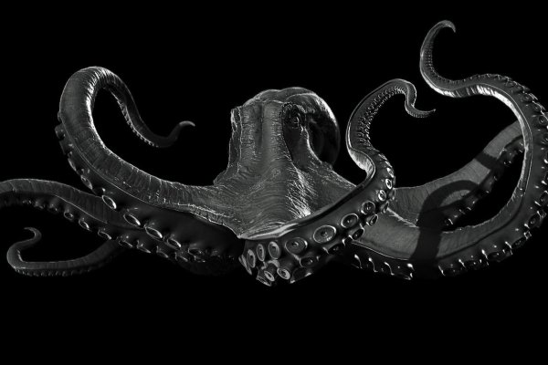Www kraken 20at net