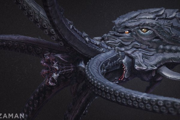 Kraken whitenet tor