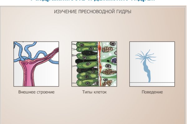 Как зайти на площадку кракен
