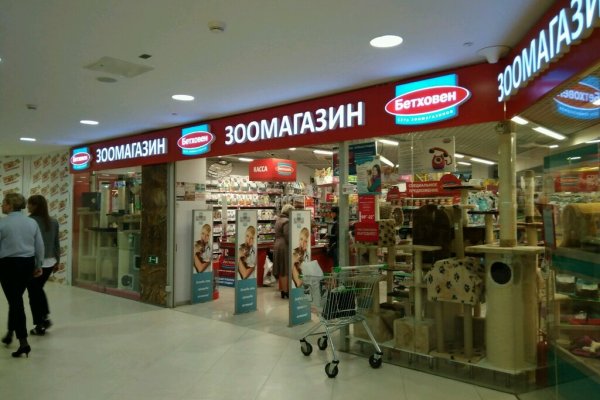Пользователь не найден кракен что делать