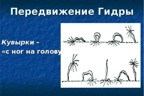 Кракен ссылка gigageek ru