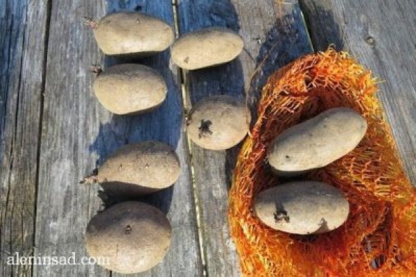 Как восстановить аккаунт на кракене супернет