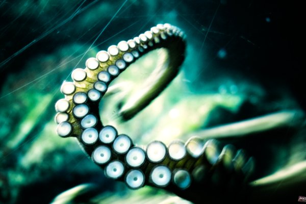 Кракен супернет ссылка kraken link24 info