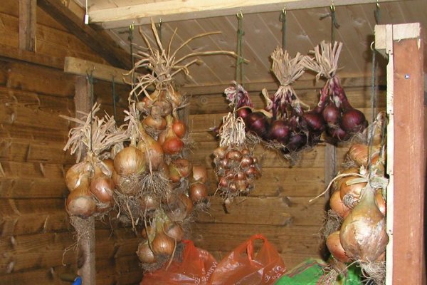 Кракен рабочий сайт