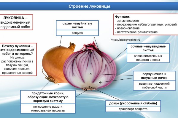 Как найти сайт кракен