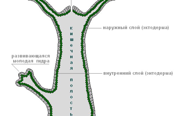 Кракен супернет маркет плейс
