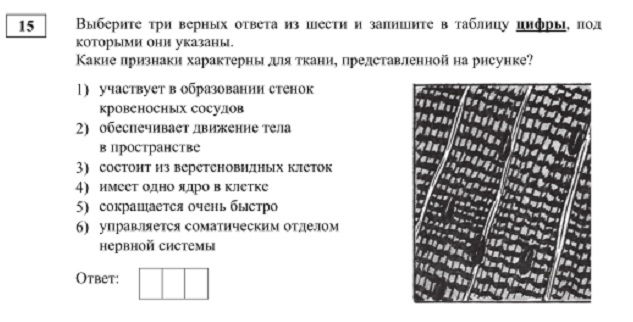 Почему не работает кракен