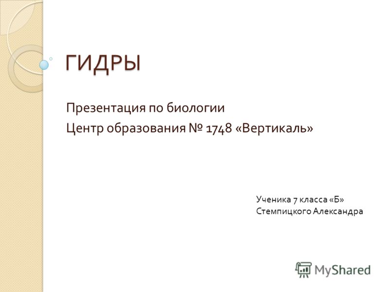 Kraken что это за магазин